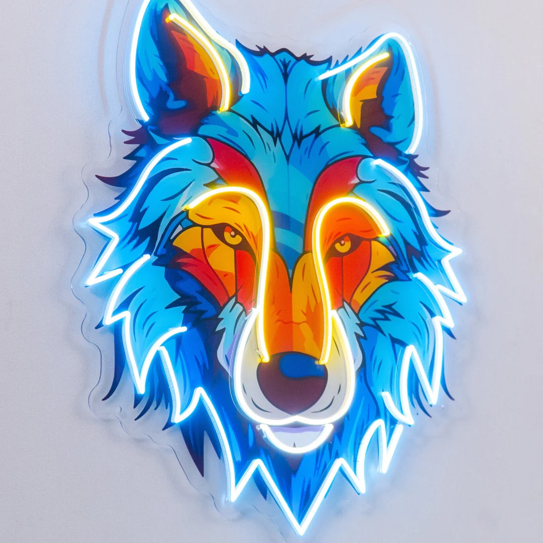 Colourfull Wolf Pop Art