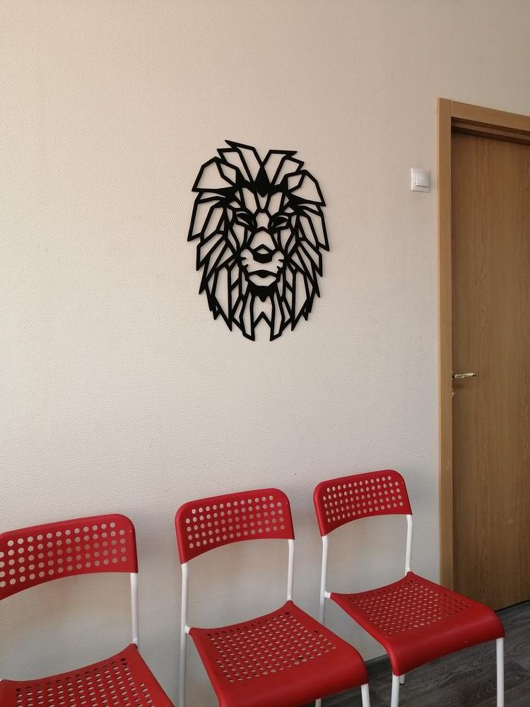 Lion Head Wall Hanging - Makkar & Brothers